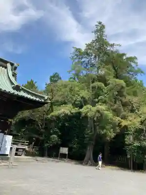 三嶋大社(静岡県)