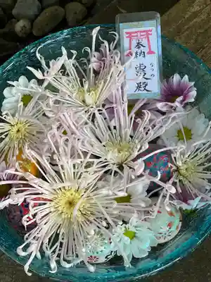 須山浅間神社(静岡県)