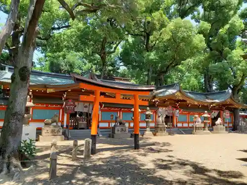 杭全神社の鳥居