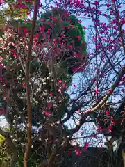 徳庵神社の自然