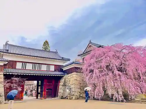 眞田神社(長野県)