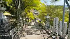 桑田神社(京都府)