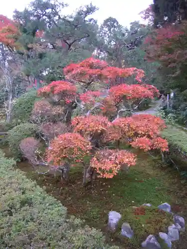 龍吟庵（竜吟庵）の庭園