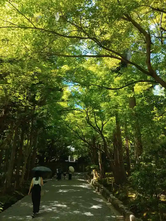 龍安寺(京都府)