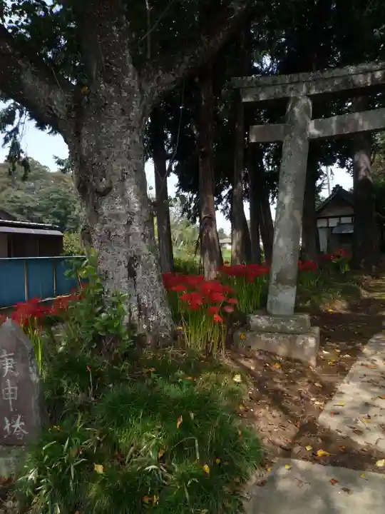 駒形神社の自然