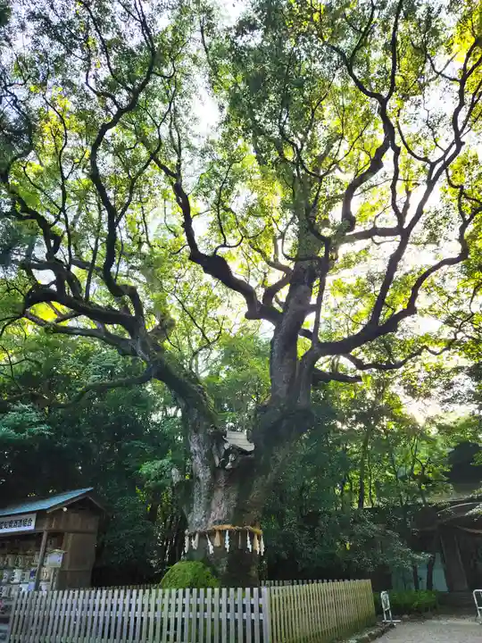 熱田神宮(愛知県)