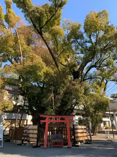 富知六所浅間神社の自然