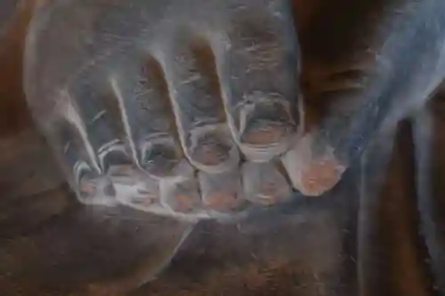 宗堅寺(京都府)