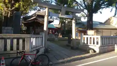 蓮沼氷川神社の鳥居