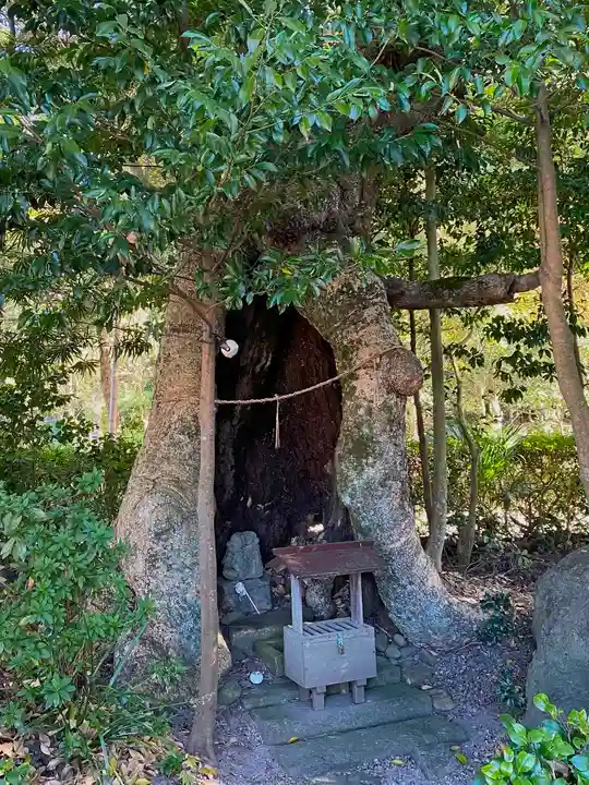 石見国一宮 物部神社(島根県)