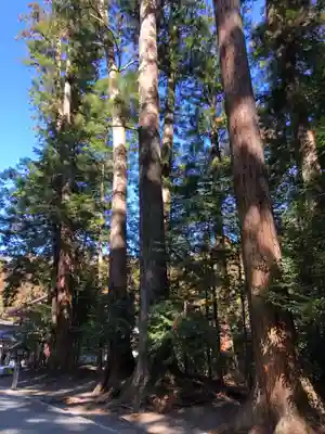小國神社(静岡県)