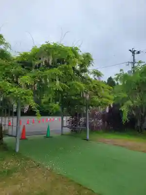 和気神社(鹿児島県)