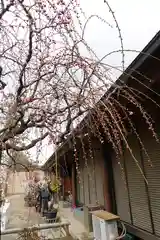 菅原天満宮（菅原神社）の建物その他