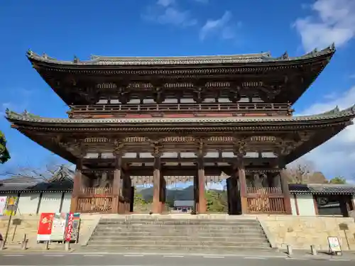 仁和寺の山門