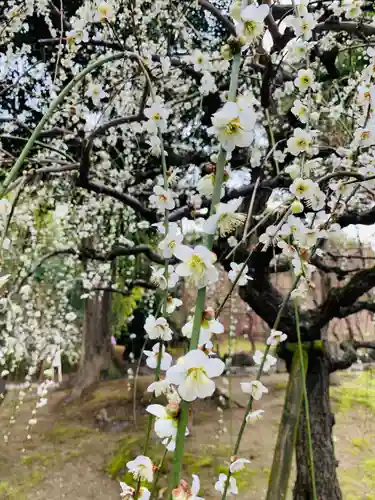 城南宮(京都府)