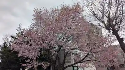 上川神社頓宮の自然