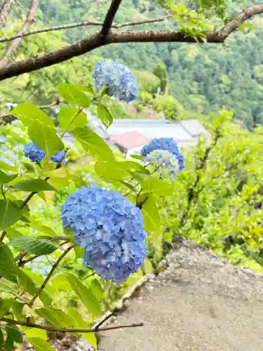 熊野那智大社(和歌山県)