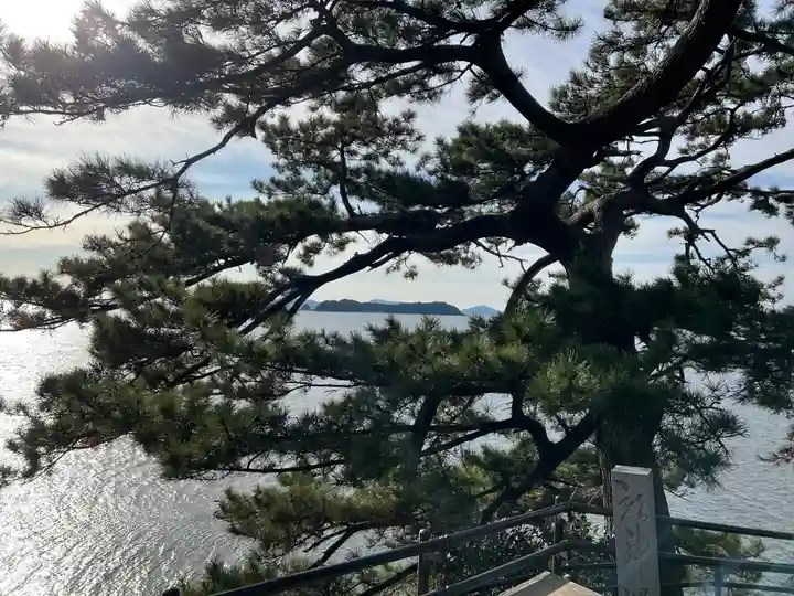 八大龍神社の自然