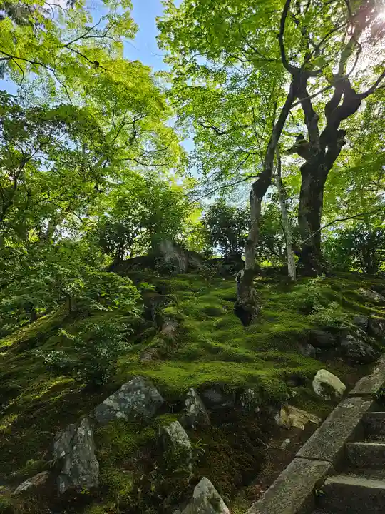 常寂光寺(京都府)