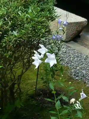 廬山寺（廬山天台講寺）(京都府)
