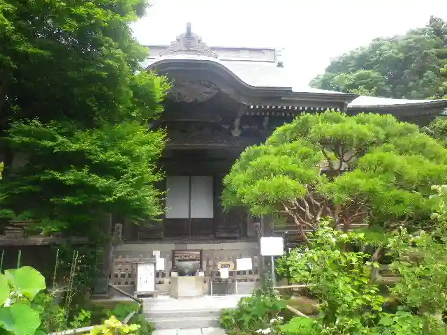 妙法寺の本殿・本堂