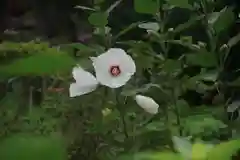 阿久津「田村神社」（郡山市阿久津町）旧社名：伊豆箱根三嶋三社の庭園