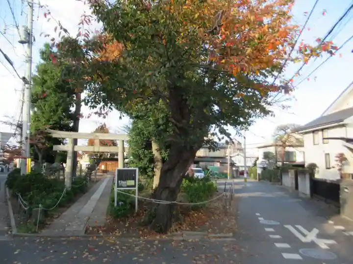 御室社(埼玉県)