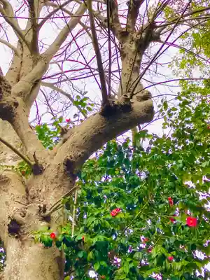南宮神社(千葉県)