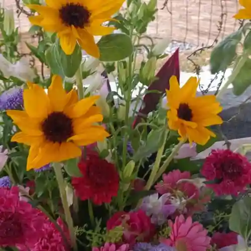 彌彦神社　(伊夜日子神社)の手水舎