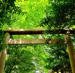 縣居神社(静岡県)