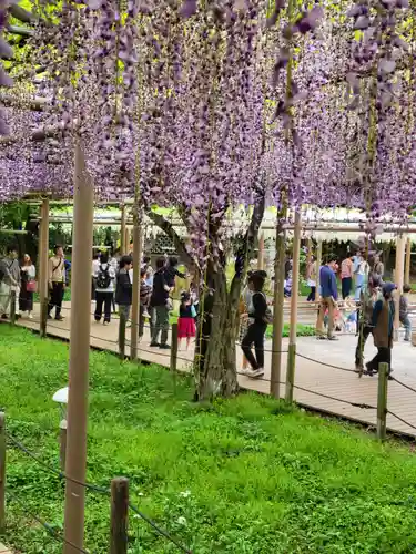 曼陀羅寺の庭園