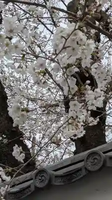 勝林寺(京都府)