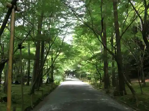 龍安寺の{uncategorized: "未分類", other: "その他", undefined: "問題あり", building: "その他建物", grave: "お墓", sacred_gate: "鳥居", guardian: "狛犬", statue: "像", buddha: "仏像", history: "歴史", nature: "自然", garden: "庭園", animal: "動物", pagoda: "塔", temizu: "手水舎", mountain_gate: "山門・神門", sanctuary: "本殿・本堂", subordinate: "末社・摂社", art: "芸術", scenery: "景色", jizo: "地蔵", ema: "絵馬", goshuin: "御朱印", omikuji: "おみくじ", items: "授与品その他", amulet: "お守り", goshuincho: "御朱印帳", eats: "食事", festival: "お祭り", votive_dance: "神楽", shichigosan: "七五三参", wedding: "結婚式", experience: "体験その他", initially: "初詣", around: "周辺", anti_infection: "感染症対策"}