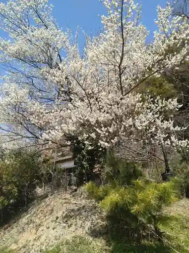 清水峯神社(宮城県)