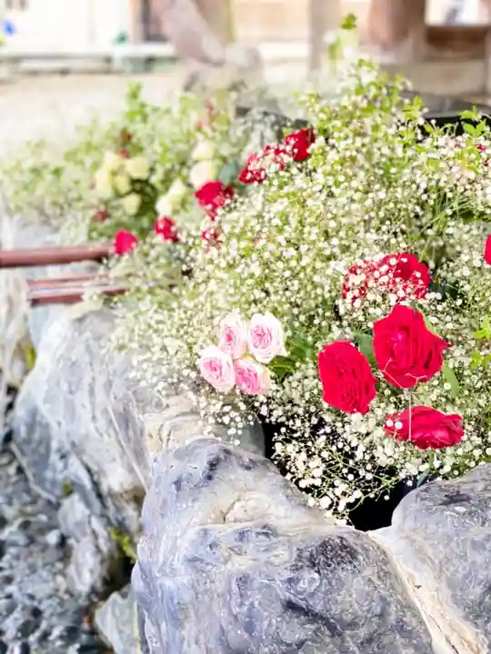 滋賀県護国神社の自然