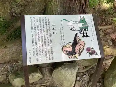 長谷寺(奈良県)