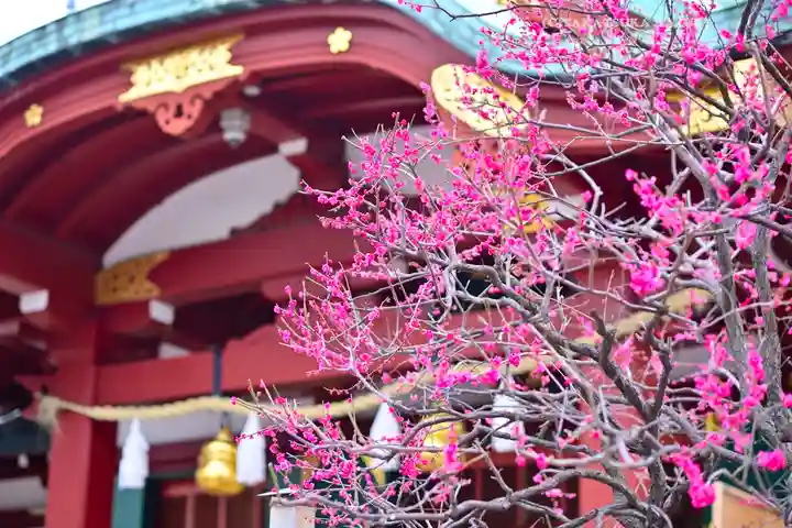 亀戸天神社(東京都)