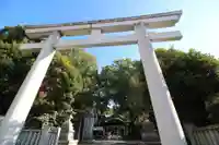 王子神社の鳥居