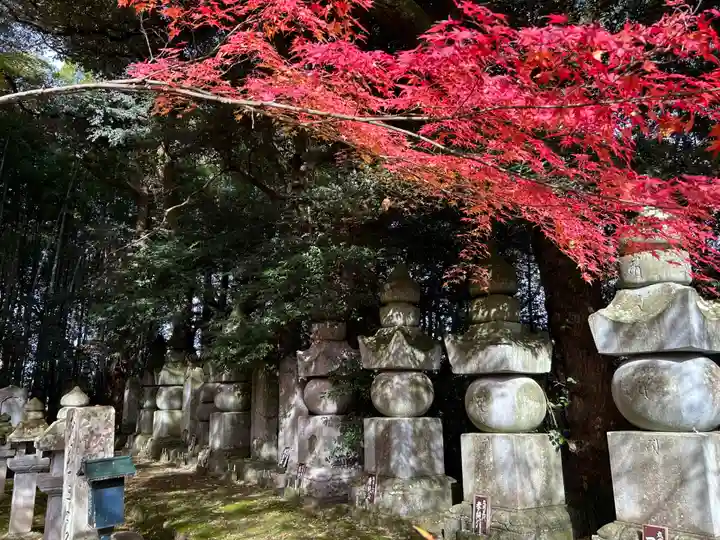 高岳寺(福井県)