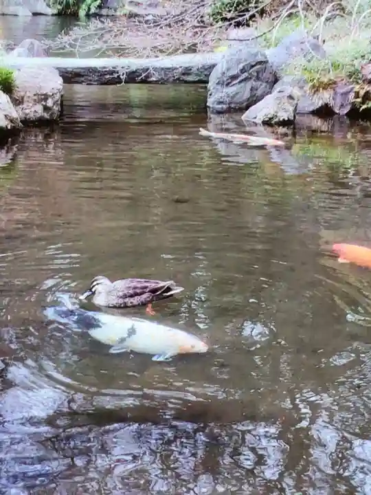 靖國神社(東京都)