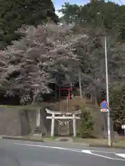 日枝神社の鳥居