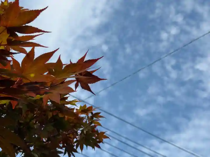 西方山極楽寺(岐阜県)