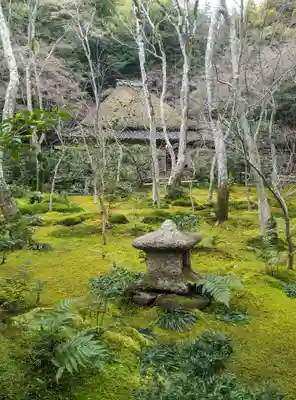 祇王寺(京都府)