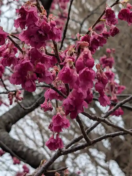 宝珠院(神奈川県)