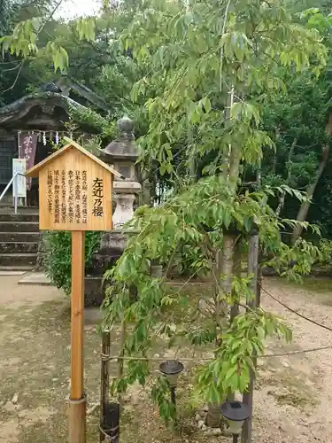 天満神社の建物その他