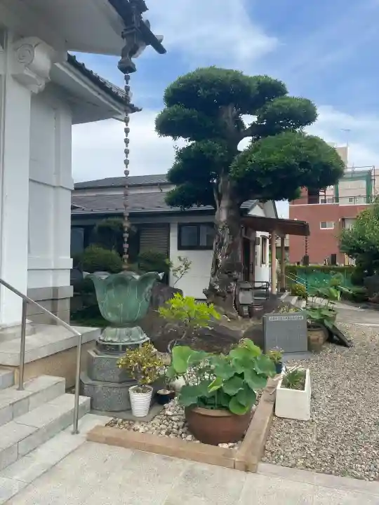 応願寺(栃木県)