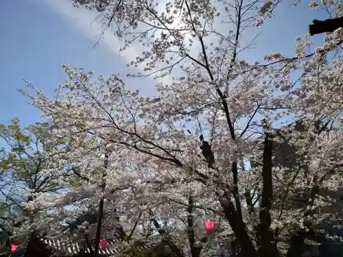 岐阜護國神社(岐阜県)