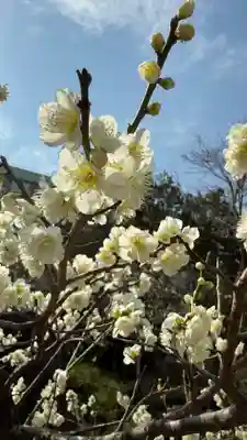 湯島天満宮(東京都)