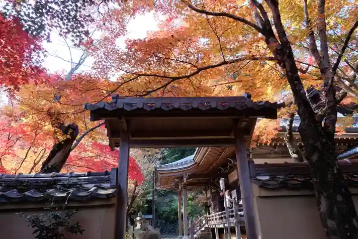 勝持寺(花の寺)(京都府)