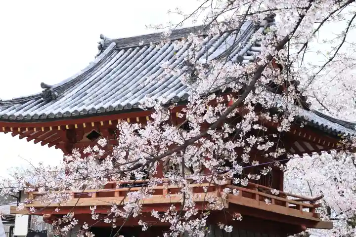 喜多院の{uncategorized: "未分類", other: "その他", undefined: "問題あり", building: "その他建物", grave: "お墓", sacred_gate: "鳥居", guardian: "狛犬", statue: "像", buddha: "仏像", history: "歴史", nature: "自然", garden: "庭園", animal: "動物", pagoda: "塔", temizu: "手水舎", mountain_gate: "山門・神門", sanctuary: "本殿・本堂", subordinate: "末社・摂社", art: "芸術", scenery: "景色", jizo: "地蔵", ema: "絵馬", goshuin: "御朱印", omikuji: "おみくじ", items: "授与品その他", amulet: "お守り", goshuincho: "御朱印帳", eats: "食事", festival: "お祭り", votive_dance: "神楽", shichigosan: "七五三参", wedding: "結婚式", experience: "体験その他", initially: "初詣", around: "周辺", anti_infection: "感染症対策"}